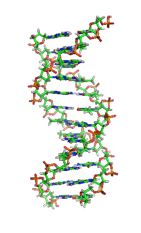 DNA - Helix in animierter Darstellung
