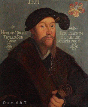 Admiral Herluf Trolle - Ritter des Elefanten-Orden - auf einem Gemälde der Gemäldesammlung vom Schloss Frederiksborg um 1551   -  Für eine größere Bilddarstellung bitte auf das Bild klicken