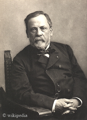 Louis Pasteur auf einem Photo von Félix Nadar.  -  Für eine größere Bilddarstellung klicken Sie bitte auf das Photo.